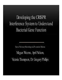 Developing the CRISPR Interference System to Understand Bacterial Gene Function