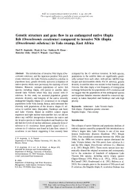 Genetic Structure and Gene Flow in an Endangered Native Tilapia Fish