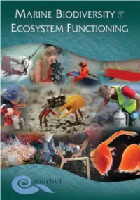 Marine Biodiversity & Ecosystem Functioning
