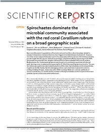 Spirochaetes Dominate the Microbial Community Associated with the Red