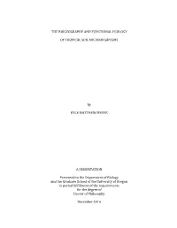 The Biogeography and Functional Ecology of Tropical Soil Microorganisms