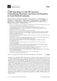 CGRP Signaling Via CALCRL Increases Chemotherapy Resistance and Stem Cell Properties in Acute Myeloid Leukemia