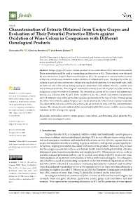 Characterisation of Extracts Obtained from Unripe Grapes and Evaluation
