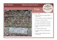 Fires in Dunedin in Victorian Times Especially of Business Premises That Students Might Like to Investigate