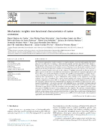 Mechanistic Insights Into Functional Characteristics of Native Crotamine