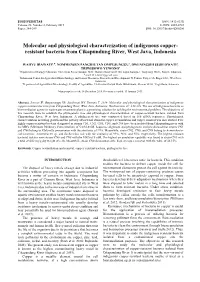 Molecular and Physiological Characterization of Indigenous Copper- Resistant Bacteria from Cikapundung River, West Java, Indonesia