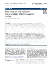 Morphological and Molecular Characterization of Setaria Equina in Donkeys Mona Mohammed I