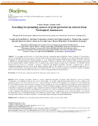 Searching for Promising Sources of Grain Protectors in Extracts from Neotropical Annonaceae