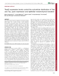 Tead2 Expression Levels Control the Subcellular Distribution Of