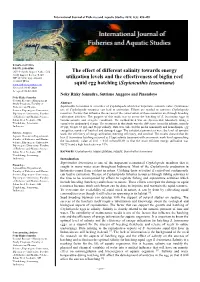 The Effect of Different Salinity Towards Energy Utilization Levels and The