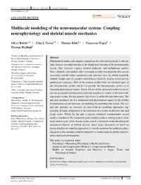 Multi-Scale Modelling of the Neuromuscular System -- Coupling