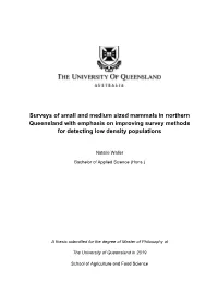Surveys of Small and Medium Sized Mammals in Northern Queensland with Emphasis on Improving Survey Methods for Detecting Low Density Populations