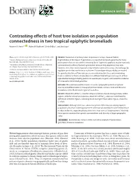 Contrasting Effects of Host Tree Isolation on Population Connectedness in Two Tropical Epiphytic Bromeliads