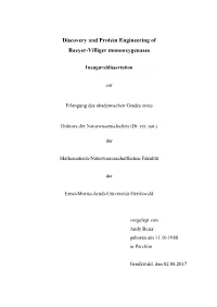 Discovery and Protein Engineering of Baeyer-Villiger Monooxygenases