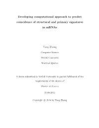 Developing Computational Approach to Predict Coincidence of Structural and Primary Signatures in Mrnas Yang Zhang