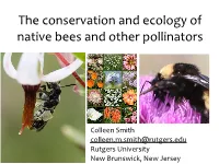 The Conservation and Ecology of Native Bees and Other Pollinators