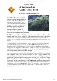 A Short Guide to Castell Dinas Bran