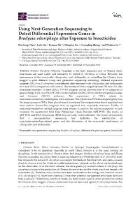 Using Next-Generation Sequencing to Detect Differential Expression Genes in Bradysia Odoriphaga After Exposure to Insecticides