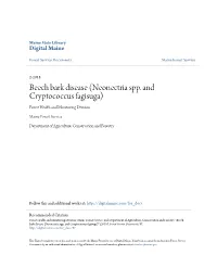 Beech Bark Disease (Neonectria Spp. and Cryptococcus Fagisuga) Forest Health and Monitoring Division