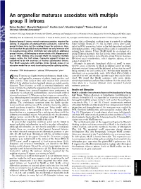 An Organellar Maturase Associates with Multiple Group II Introns