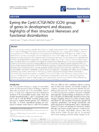 Eyeing the Cyr61/CTGF/NOV (CCN) Group of Genes in Development And