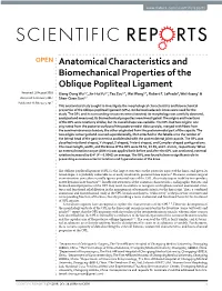 Anatomical Characteristics and Biomechanical Properties of The