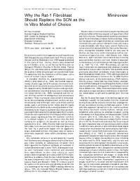 Why the Rat-1 Fibroblast Minireview Should Replace the SCN As the in Vitro Model of Choice