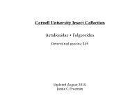 Fulgoroidea List