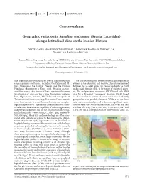 Geographic Variation in Mesalina Watsonana ‌(Sauria: Lacertidae) Along a Latitudinal Cline on the Iranian Plateau