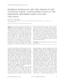 HUMERAL HOMOLOGY and the ORIGIN of the TETRAPOD ELBOW: a REINTERPRETATION of the ENIGMATIC SPECIMENS ANSP 21350 and GSM 104536 by PER E