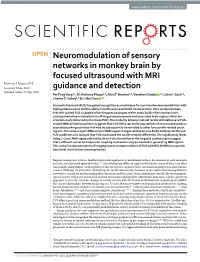 Neuromodulation of Sensory Networks in Monkey Brain by Focused