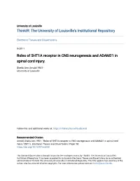 Roles of 5HT1A Receptor in CNS Neurogenesis and ADAM21 in Spinal Cord Injury