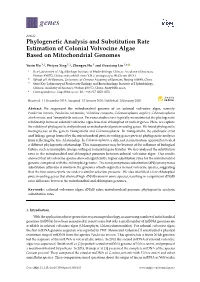 Phylogenetic Analysis and Substitution Rate Estimation of Colonial Volvocine Algae Based on Mitochondrial Genomes
