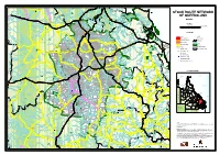 Banana Stock Route Network Classification