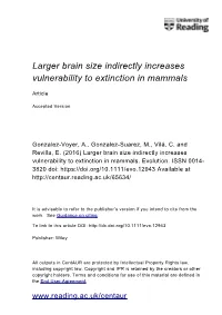 Larger Brain Size Indirectly Increases Vulnerability to Extinction in Mammals