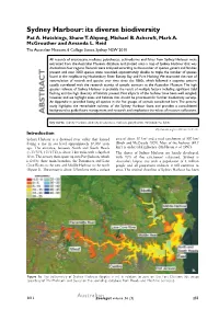 Page 1 Sydney Harbour: Its Diverse Biodiversity Pat A. Hutchings