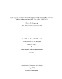 Spatiotemporal Associations Between Forests Impacted by Mountain Pine Beetle and Adjacent Replantings Impacted by Warren Root Collar Weevil