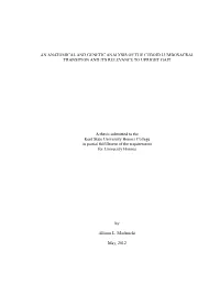 An Anatomical and Genetic Analysis of the Ceboid Lumbosacral Transition and Its Relevance to Upright Gait