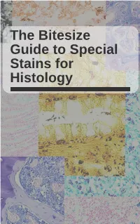 The Bitesize Guide to Special Stains for Histology