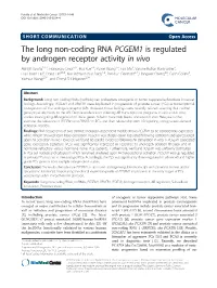 The Long Non-Coding RNA PCGEM1 Is Regulated by Androgen Receptor