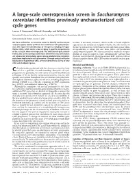 A Large-Scale Overexpression Screen in Saccharomyces Cerevisiae Identifies Previously Uncharacterized Cell Cycle Genes