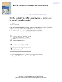 On the Instabilities of Tropical Cyclones Generated by Cloud Resolving Models