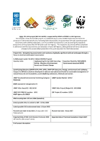 Project Document for the Purposes of CEO Endorsement Only