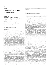 The Results and Their Interpretation