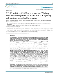 Theranostics OTUB2 Stabilizes U2AF2 to Promote the Warburg Effect and Tumorigenesis Via the AKT/Mtor Signaling Pathway in Non-Sm