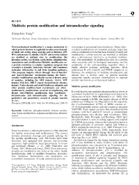 Multisite Protein Modification and Intramolecular Signaling