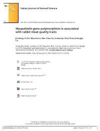 Myopalladin Gene Polymorphism Is Associated with Rabbit Meat Quality Traits
