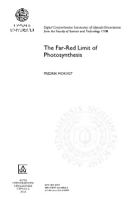 The Far-Red Limit of Photosynthesis