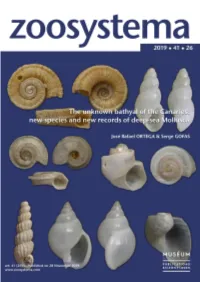 The Unknown Bathyal of the Canaries: New Species and New Records of Deep-Sea Mollusca
