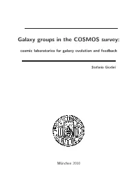 Galaxy Groups in the COSMOS Survey